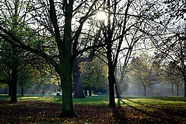 公園,倫敦,肯辛頓花園