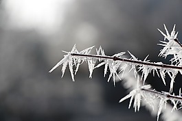 冰柱,弗羅斯特,冬天