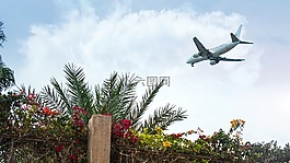 旅游,天空,夏季