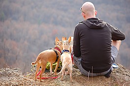 男子,狗,徒步旅行