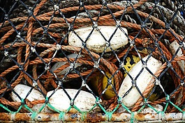 釣魚(yú),設(shè)備,凈