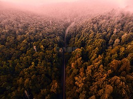 藍嶺山脈,弗吉尼亞州,景觀