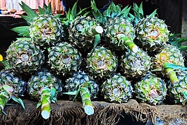 菠蘿,水果,異國(guó)情調(diào)