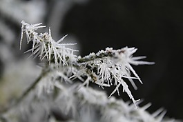 eiskristalle,性質(zhì),冬天