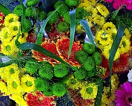 束鲜花,颜色,马特里