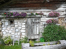 首頁(yè),棚屋,山