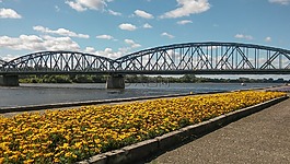 橋,河,水