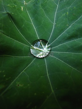 水,下降,一滴水