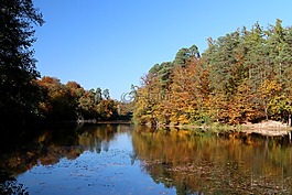 斯图加特,pfaffenteich湖,熊湖