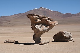 沙漠,生活,阿塔卡馬
