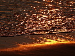 日落,晚上,剪影