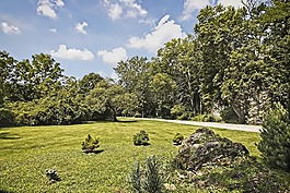 公園景觀招待,風景,樹