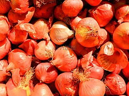洋蔥,食品,蔬菜