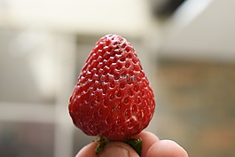 草莓,水果,保佑你