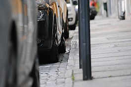 汽車,路面,公園
