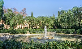 噴泉,公園,自然