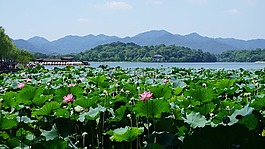西湖,杭州,china