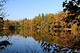 斯图加特,pfaffenteich湖,熊湖
