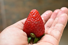 草莓,水果,食品