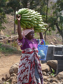 afrikanerin,香蕉,非洲