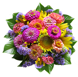 束鮮花,鮮花,春天