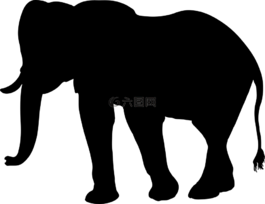 象,厚皮,動物