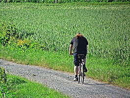 自行車,男性,字段