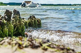 波羅的海,海灘,海