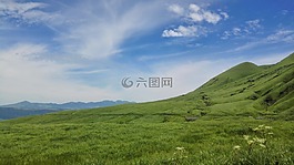 日本,福岡,草原