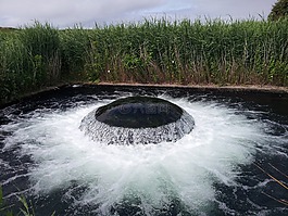 水,布魯納,泡沫