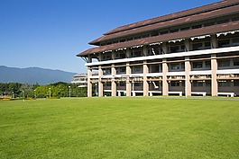 建設(shè),草坪,草