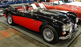 博覽會,展覽,oldtimer