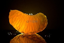 普通話,水果,橙