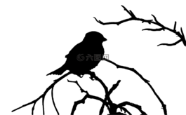 麻雀,鳥,側影