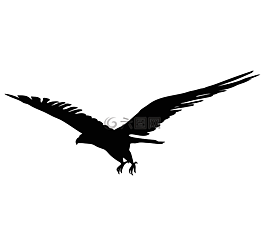 鷹,鳥,符號(hào)