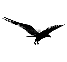 鷹,鳥,符號(hào)