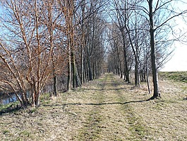 離,徒步旅行,路徑