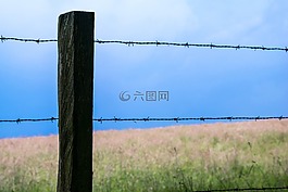 籬笆,鐵絲網(wǎng),牧場