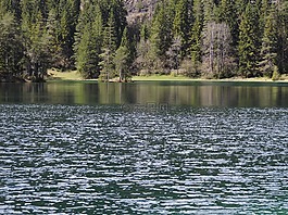 fernsteinsee,水,绿色