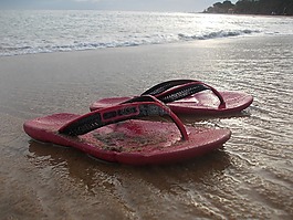 軌枕,海灘,海