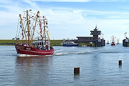 漁船,帆船賽,osteseebad büsum