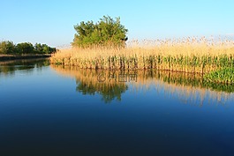 湖,景观,美丽