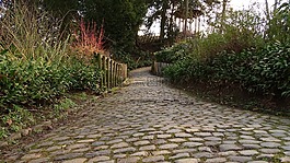 路徑,路面,皮埃爾 ·