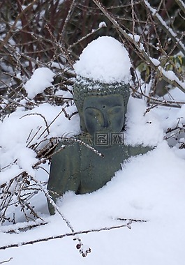 佛,雪,冬天