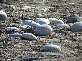 石頭,海灘,砂