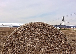干草,包,農(nóng)場