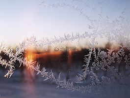 冬天,雪,弗羅斯特