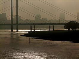 萊茵,水,橋