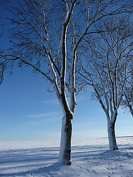 冬天,雪,太陽