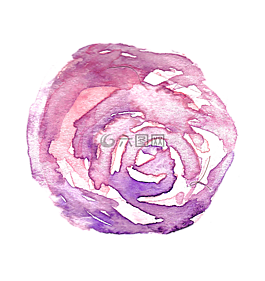 水彩,玫瑰,花